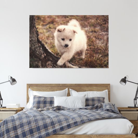 Schattige fluffy Snowball Puppy Dog Canvas Kunst (Insitu (Slaapkamer))
