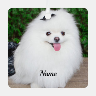 Schattige Fluffy White Puppy Dog Metalen Ornament