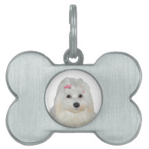Schattige Fluffy Witte Maltese Lili