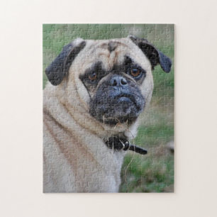 Schattige foto Puzzle Legpuzzel