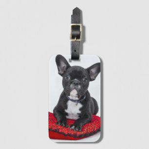Schattige foto van bulledog Black en White Bagagelabel