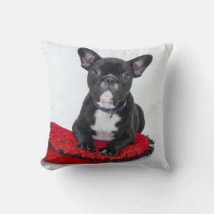 Schattige foto van bulledog Black en White Kussen