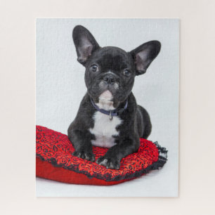Schattige foto van bulledog Black en White Legpuzzel