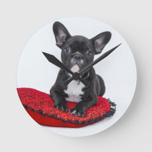 Schattige foto van bulledog Black en White Ronde Klok
