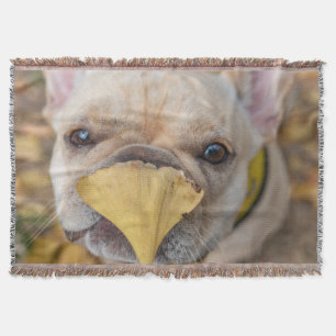 Schattige Franse Bulldog Deken