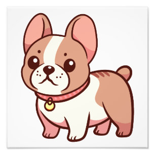 Schattige Franse Bulldog Foto Afdruk