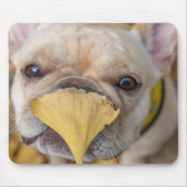 Schattige Franse Bulldog Muismat (Voorkant)