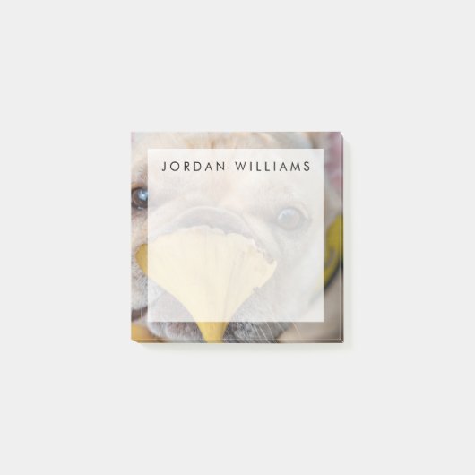 Schattige Franse Bulldog Post-it® Notes (Voorkant)