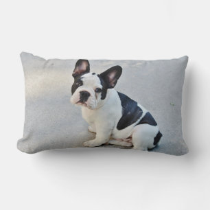 Schattige Franse Bulldog Puppy zwart wit Kussen
