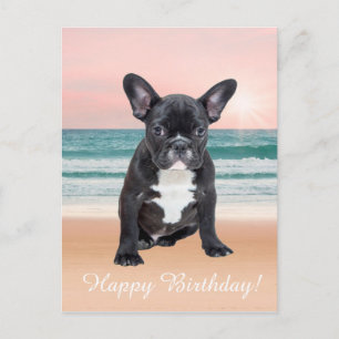Schattige Franse Bulldog Strand Zon Water Briefkaart