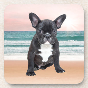 Schattige Franse Bulldog Strand Zon Water Drankjes Onderzetter