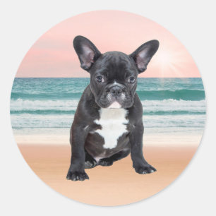 Schattige Franse Bulldog Strand Zon Water Ronde Sticker
