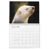 Schattige fretten 2025 kalender (Jan 2026)