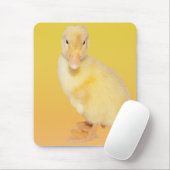 Schattige gele kutfoto muismat (Met muis)