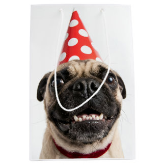 Schattige Gelukkige Verjaardag Mops in Rode Feesth Medium Cadeauzakje