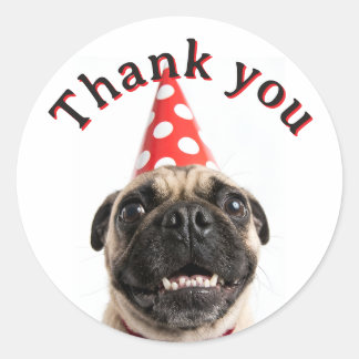 Schattige Gelukkige Verjaardag Mops in Rode Feesth Ronde Sticker