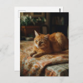 Schattige gember Kat Briefkaart (Voorkant / Achterkant)