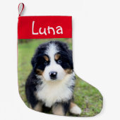 Schattige geschenk voor Berner Lovers Vrouw Berner Kleine Kerstsok (Voorkant)