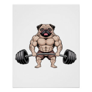 Schattige Gewichtheffende Spierbundel Pugs Hond Li Perfect Poster