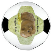 Schattige Ginger Guinea Pig Eating Celery Foto Voetbal (Gedraaid)