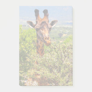 Schattige Giraffe die zijn hoofd boven de bomen ho Post-it® Notes