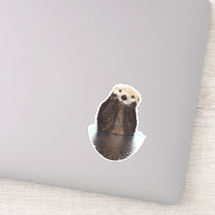 Schattige glimlende Otter in het meer Sticker