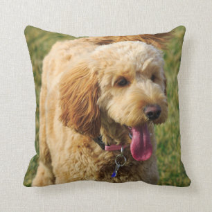 Schattige Golden Doodle Dog Kussen