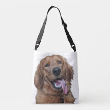 Schattige Golden Retriever | Originele Hond Fotogr