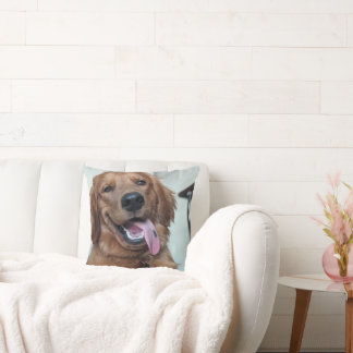 Schattige Golden Retriever | Originele Hondenfotog Kussen
