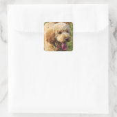 Schattige Goldendole Dog Vierkante Sticker (Tas)