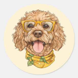 Schattige Goldendoodle Hond Zonnebril Sinaasappels Ronde Sticker