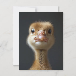 Schattige Goslingportret Briefkaart