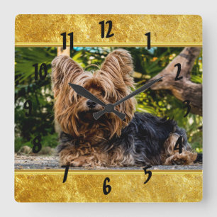 Schattige goudfolie van Yorkshire Vierkante Klok