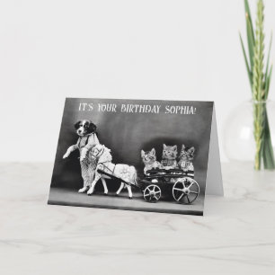 Schattige Grappig  Hond Kat Pony Verjaardag Kaart