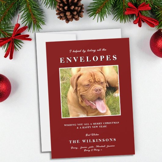 Schattige grappig Hond Rood Wit Herringbone Feestdagenkaart