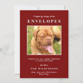 Schattige grappig Hond Rood Wit Herringbone Feestdagenkaart (Voorkant)