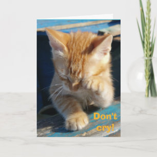 Schattige Grappig Kat Happy Birthday Wenskaart Kaart