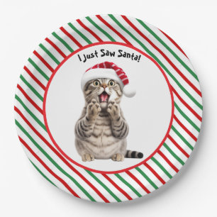 Schattige Grappig Kerst Kat Papier Bord