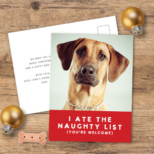 Schattige Grappig Ondeugend Lijst Pet Foto Kerst R Feestdagenkaart