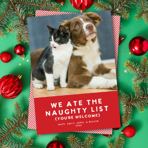 Schattige Grappig Ondeugend Lijst Pet Foto Kerst R Feestdagenkaart