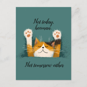 Schattige Grappige Kat Slap Aankondigingskaart