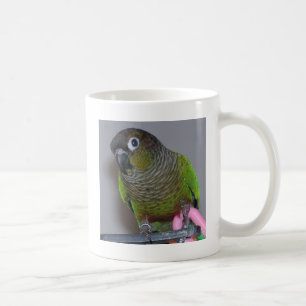 Schattige Greencheek Conure Koffiemok