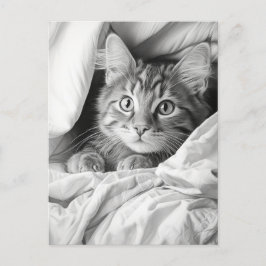Schattige Grijs Tabby Cat Briefkaart