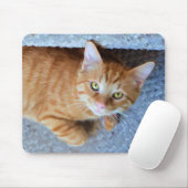 Schattige Groene Ogen Sinaasappel Tabby Cat Muismat (Met muis)