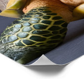 Schattige groene schildpad met bril poster (Hoek)