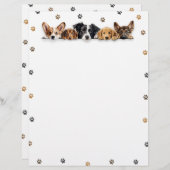Schattige groep honden Briefpapier (Voorkant / Achterkant)