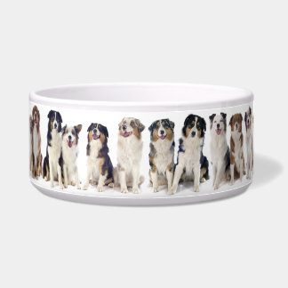 Schattige Grote Bowl voor de Australian Shepherd. Voerbakje