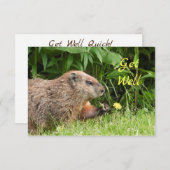 Schattige Groundhog Picking Flowers WORDEN GOED (Voorkant / Achterkant)