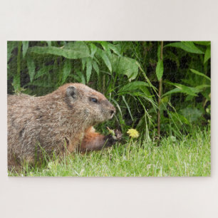 Schattige Groundhog-ploegenvloeren Jigzaag Puzzle Legpuzzel