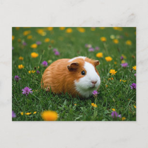 Schattige Guinea Pig Flower Grass Natuur Cavia Bri Briefkaart